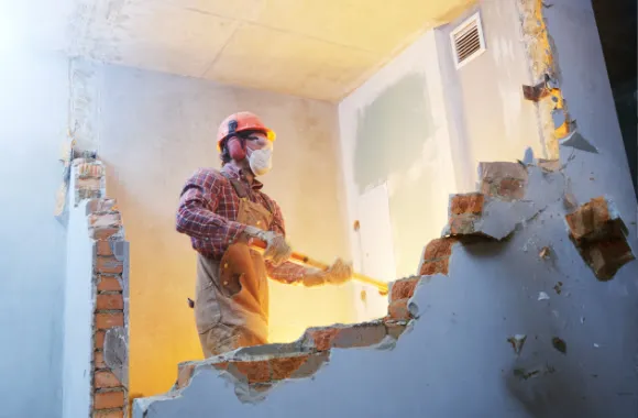 Domestic Demolition